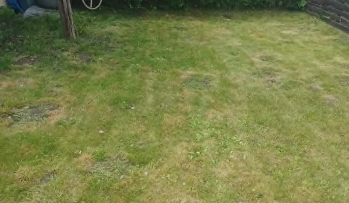 Działka rod Strzelce Opolskie