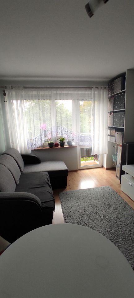 Mieszkanie 2-pokojowe Braniewo, pl. Józefa Piłsudskiego