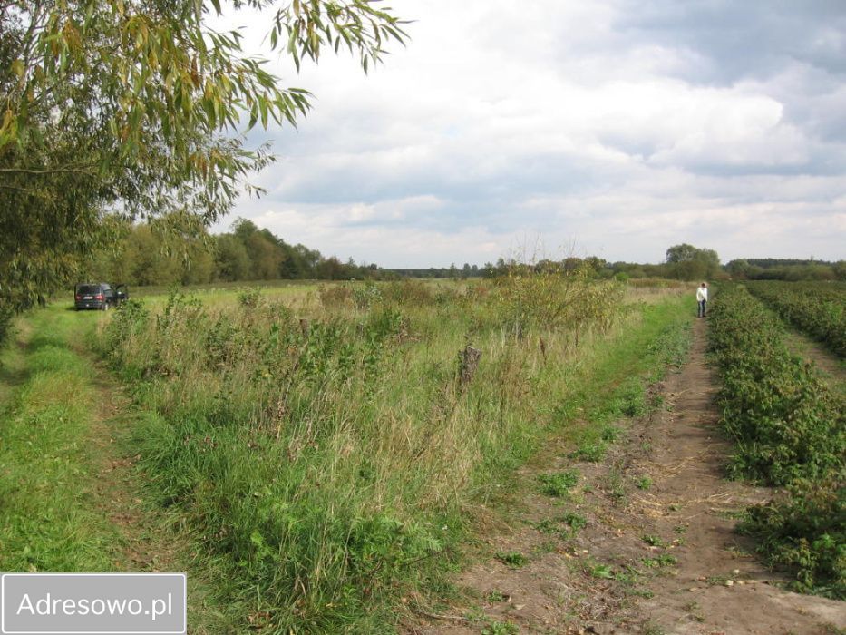 Działka rolna Wrzelów. Zdjęcie 5