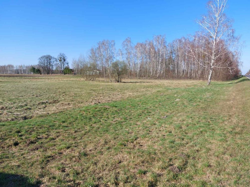 Działka budowlana Bukowa Wielka. Zdjęcie 2