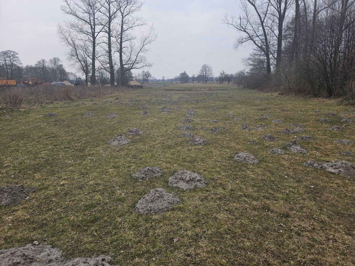 Działka rolno-budowlana Sanie. Zdjęcie 9