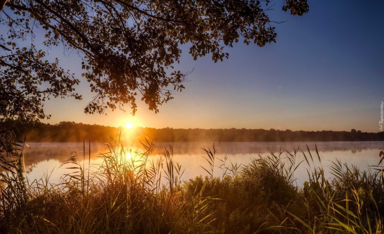 Działka budowlana Olsztyn. Zdjęcie 7