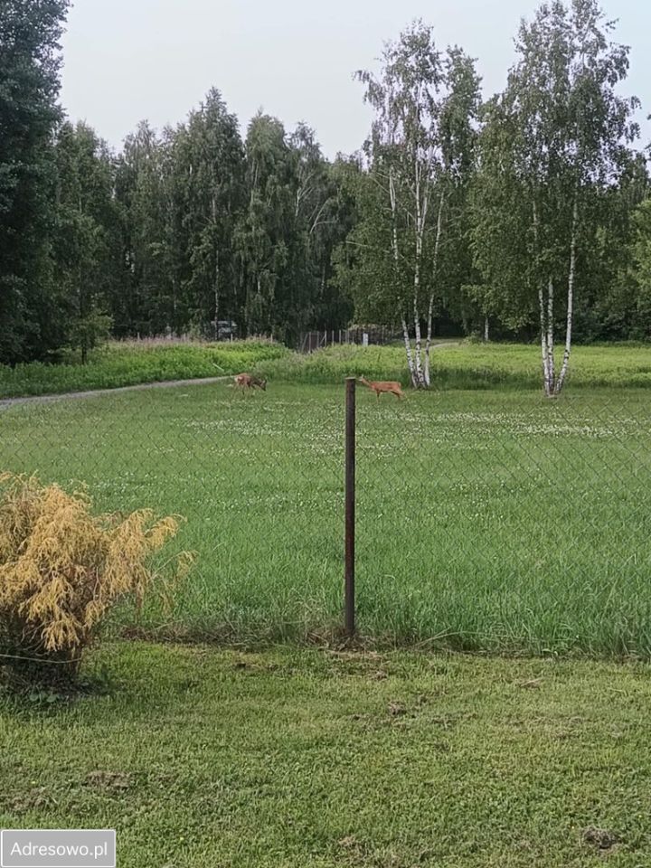 Działka budowlana Natolin. Zdjęcie 14