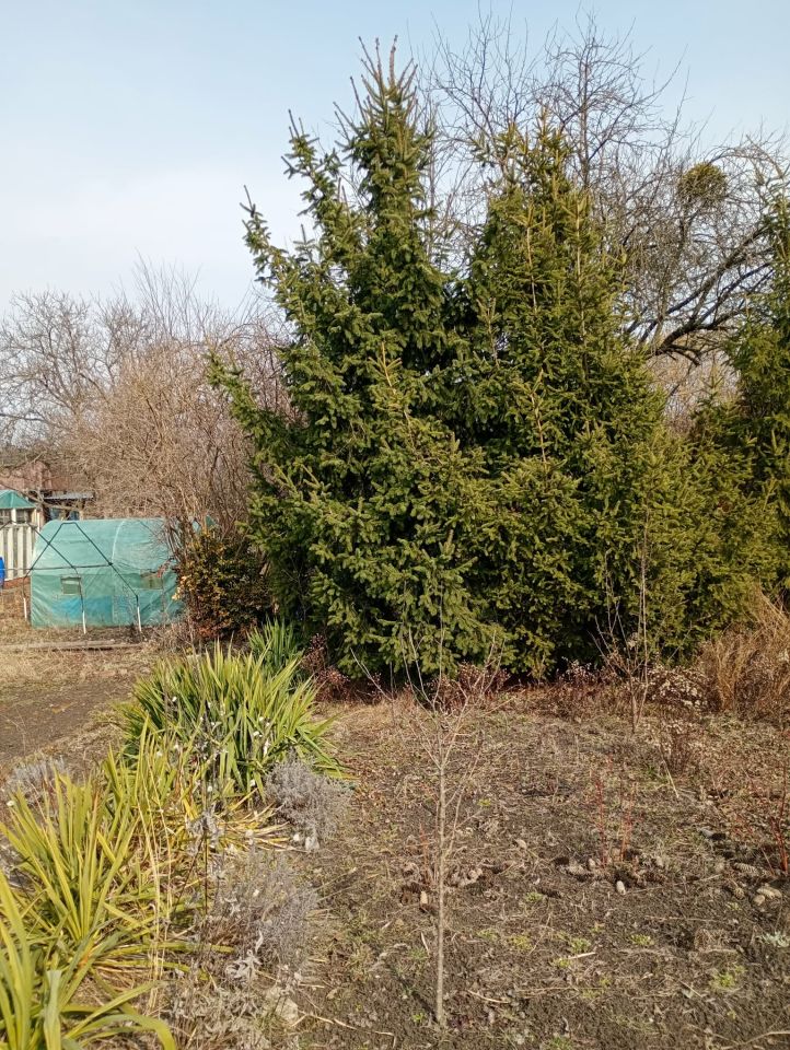 Działka rod Wrocław Fabryczna, ul. Klecińska. Zdjęcie 3