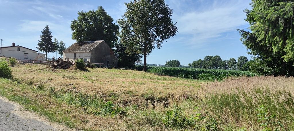 Działka budowlana Giżyce Jeziorki. Zdjęcie 1