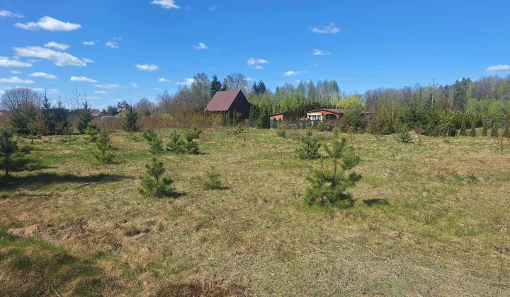 Działka rekreacyjna Nowy Orzechów