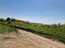 Działka leśna Nakło nad Notecią. Zdjęcie 1