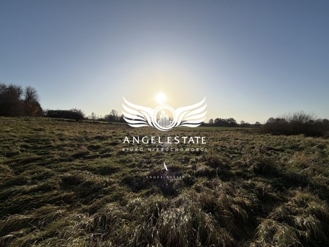 Działka rolna Mirosławice. Zdjęcie 2