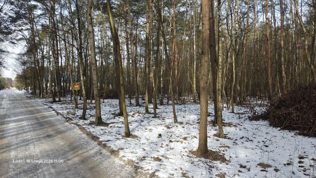 Działka rekreacyjna Łódź Feliksin, ul. Ziemiańska. Zdjęcie 1