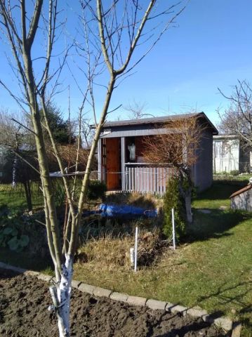 Działka rod Bierkowo. Zdjęcie 1