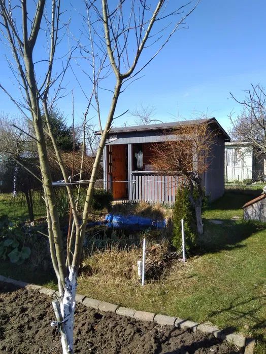 Działka rod Bierkowo. Zdjęcie 1