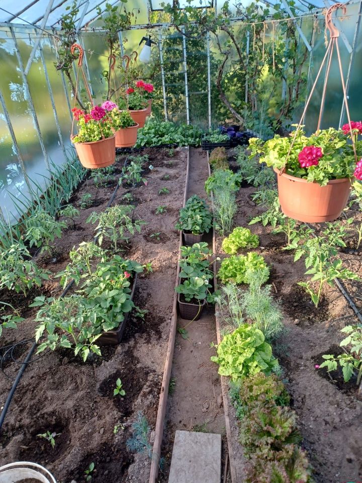 Działka rod Niekłonice. Zdjęcie 2