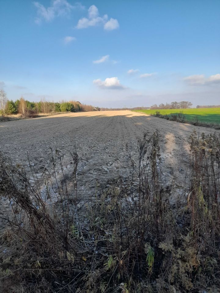 Działka budowlana Skarżyn. Zdjęcie 2