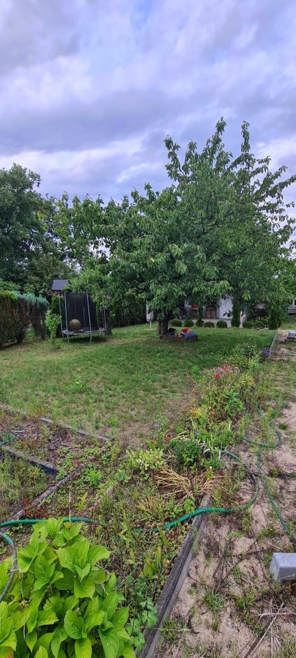 Działka rod Przebędowo. Zdjęcie 5