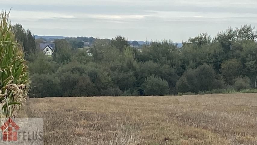 Działka rolna Czułówek. Zdjęcie 10