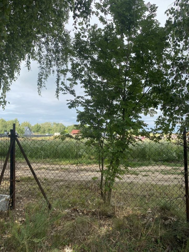 Działka rekreacyjna Piotrowo. Zdjęcie 6