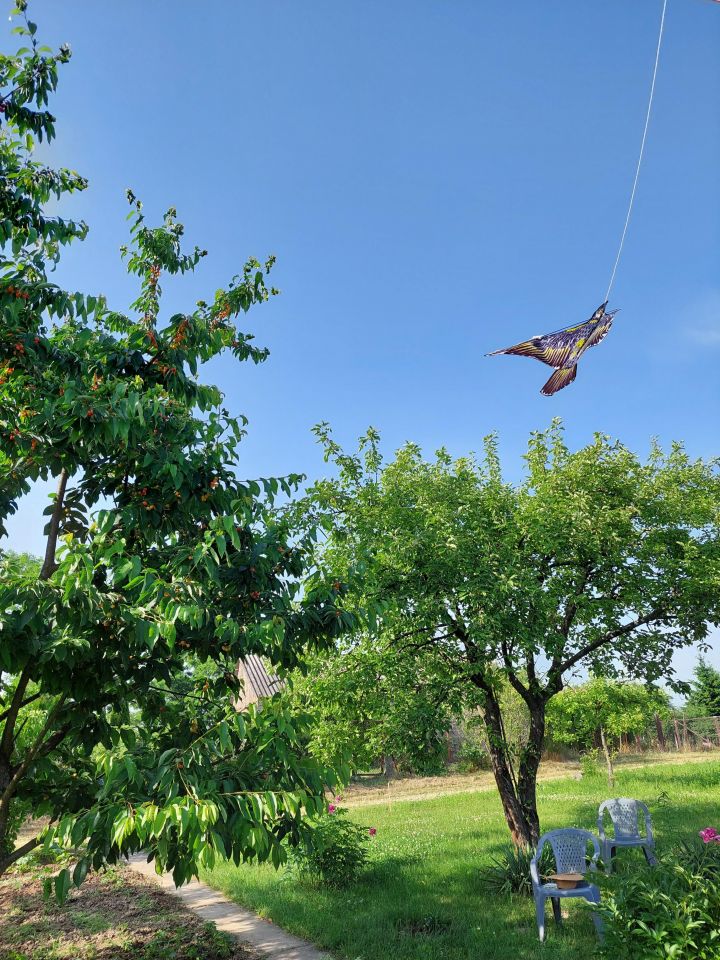 Działka rod Zamość Zamczysko, ul. Czesława Miłosza . Zdjęcie 6