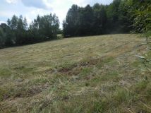 Działka Błędowa Tyczyńska. Zdjęcie 4