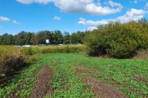 Działka inwestycyjna Chrząstowice. Zdjęcie 2