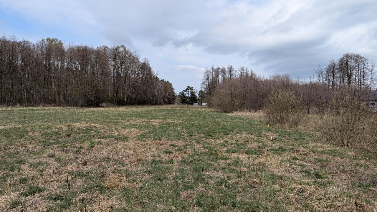 Działka budowlana Radziejowice, ul. Ossolińskich