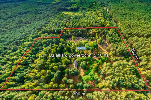 dom wolnostojący, 8 pokoi Franciszków. Zdjęcie 5