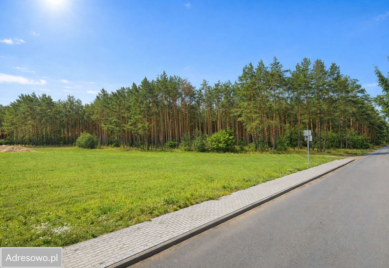 Działka rekreacyjna Ostrowo. Zdjęcie 4