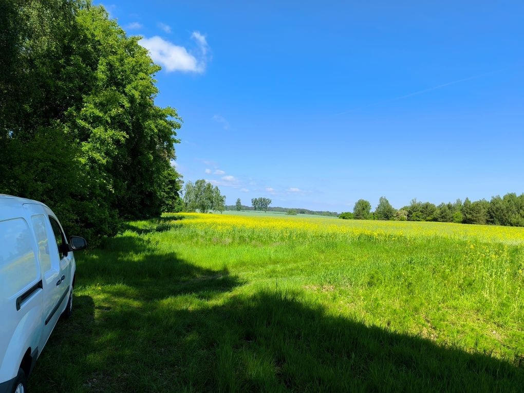 Działka rolno-budowlana Młyniska. Zdjęcie 8