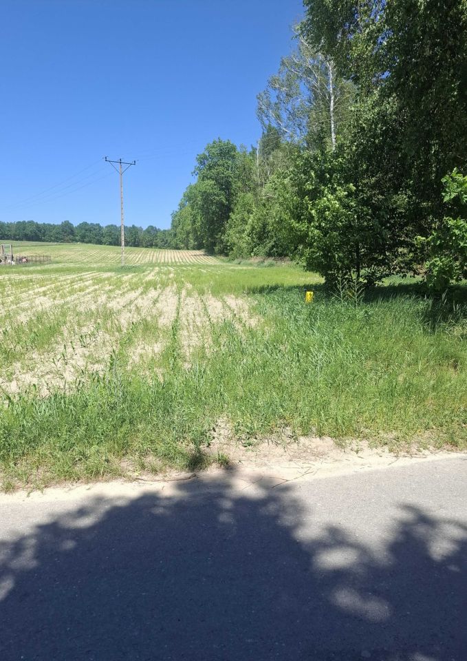 Działka rolno-budowlana Krzywie. Zdjęcie 2