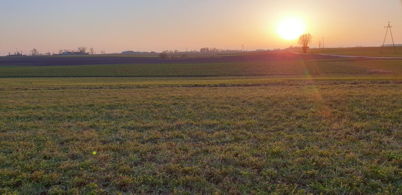 Działka budowlana Dębowo, ul. Broniewska. Zdjęcie 4
