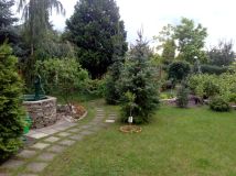 Działka rod Wrocław Ołbin, ul. Stefana Jaracza, Bolesława Prusa. Zdjęcie 1