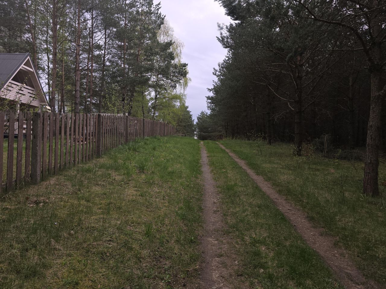 Działka leśna Ruś. Zdjęcie 13