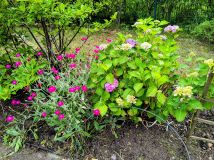 Działka rod Gdańsk Jasień, ul. Gronostajowa. Zdjęcie 1