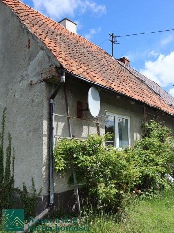 bliźniak Wirwilty. Zdjęcie 4