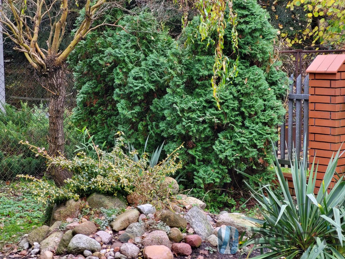 dom wolnostojący, 5 pokoi Chylice, ul. Chełmońskiego. Zdjęcie 32