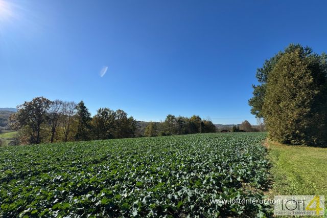 Działka budowlana Tuchów, ul. Ryglicka. Zdjęcie 4