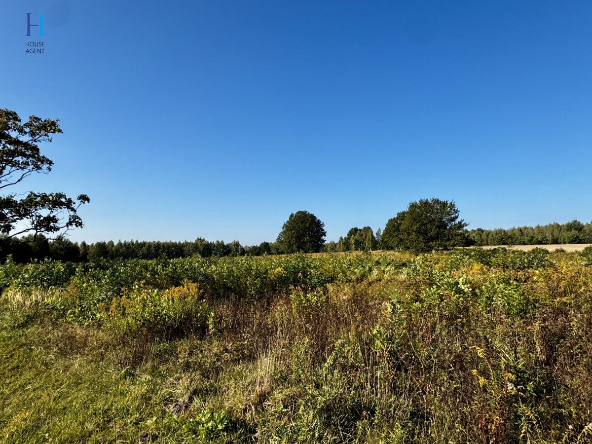 Działka inwestycyjna Stary Imielnik. Zdjęcie 10
