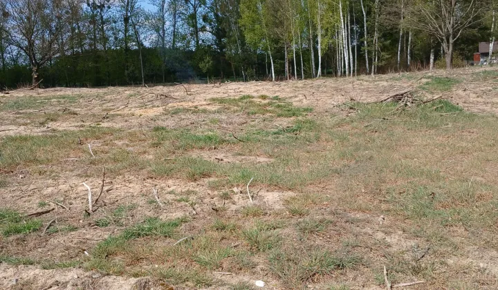 Działka budowlana Rachowa, Rachowa