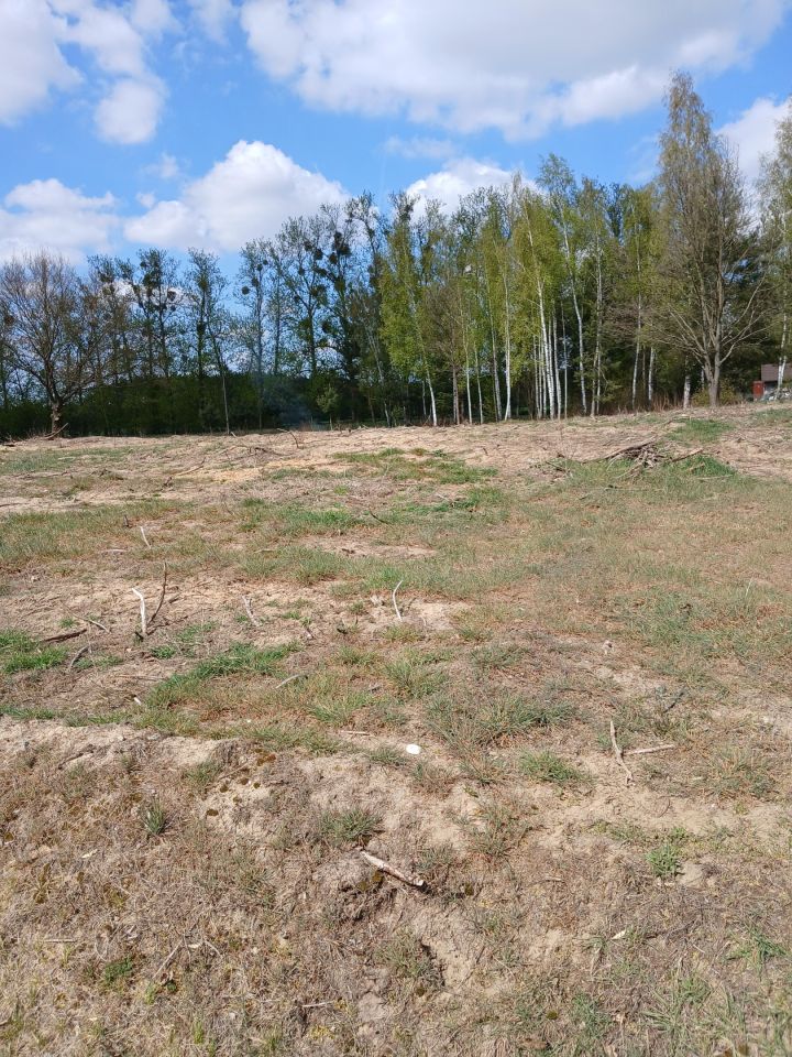 Działka budowlana Rachowa, Rachowa. Zdjęcie 1