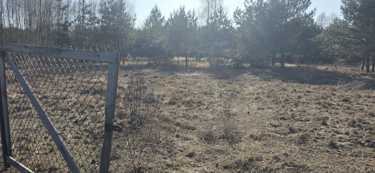 Działka budowlana Sokolniki-Las, Sierpecka. Zdjęcie 13