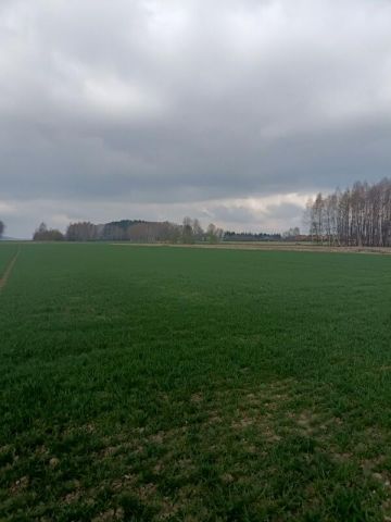 Działka budowlana Świerzowa Polska. Zdjęcie 19