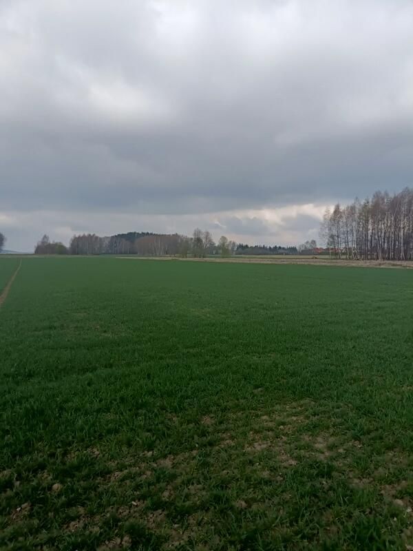 Działka budowlana Świerzowa Polska. Zdjęcie 19