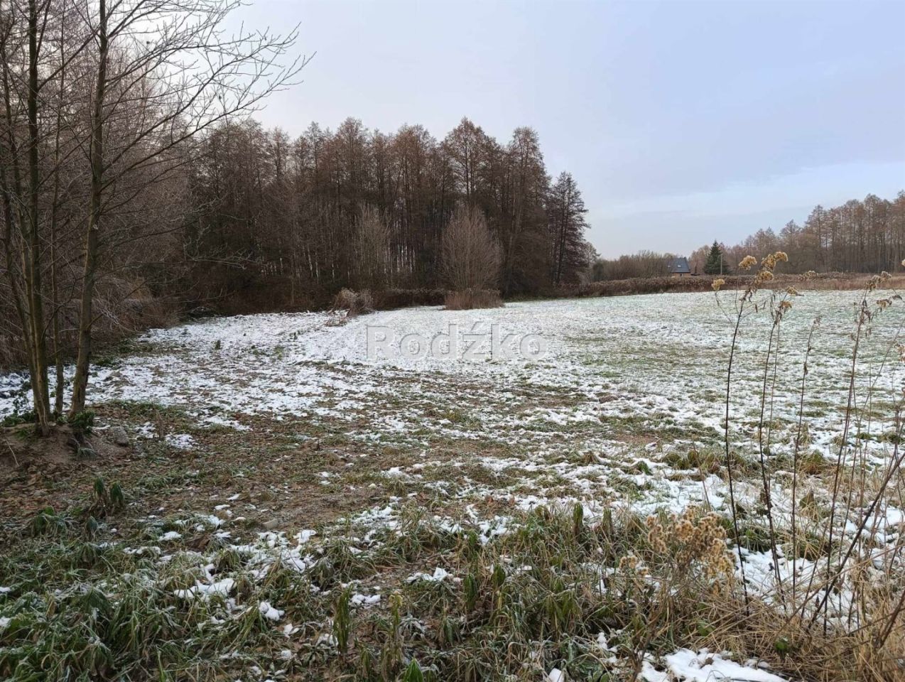 Działka budowlana Czarne Błoto, ul. Leśna. Zdjęcie 2