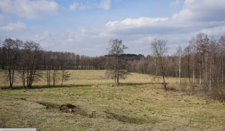 Działka rekreacyjna Dźwierzuty