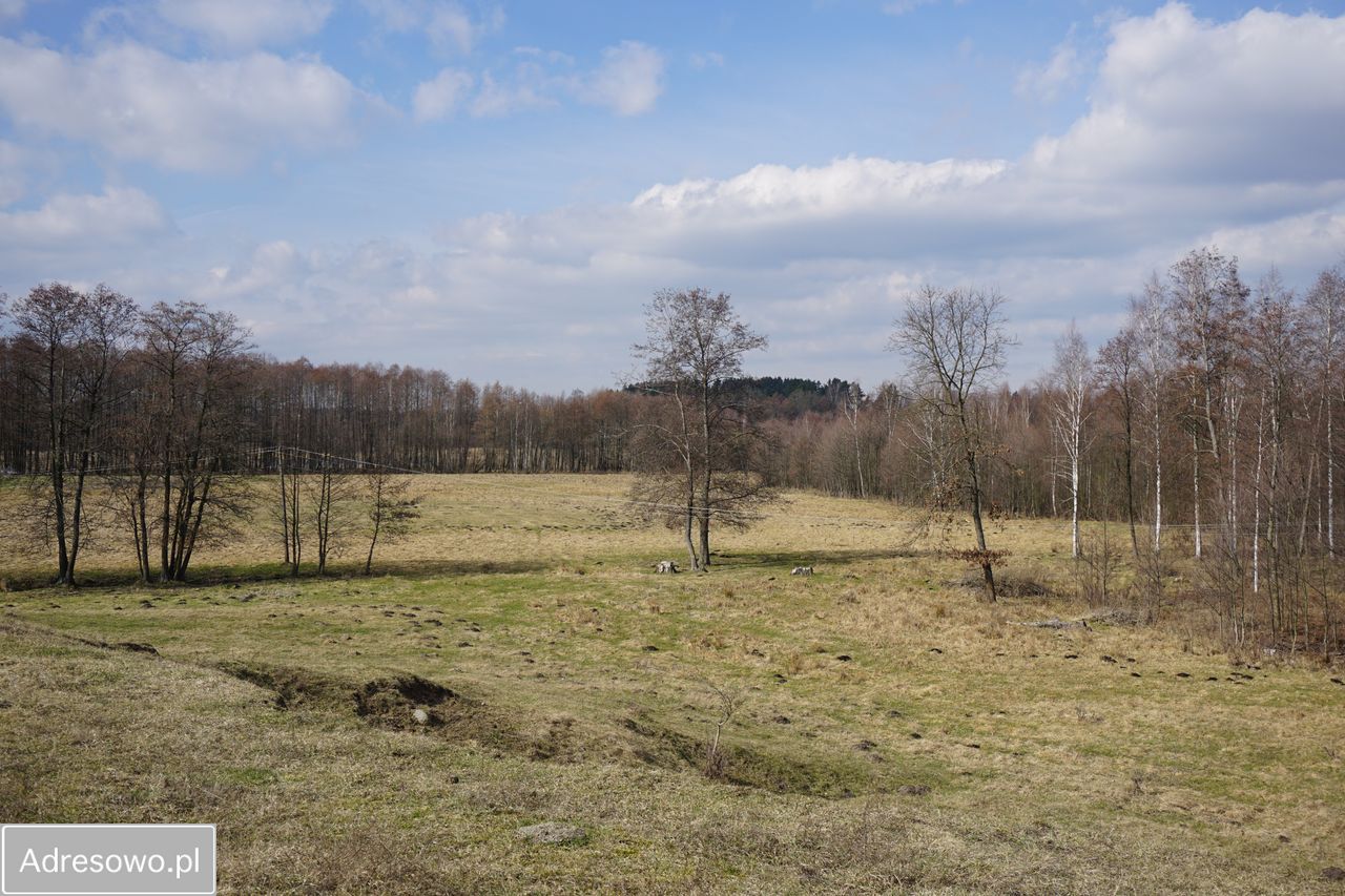 Działka rekreacyjna Dźwierzuty