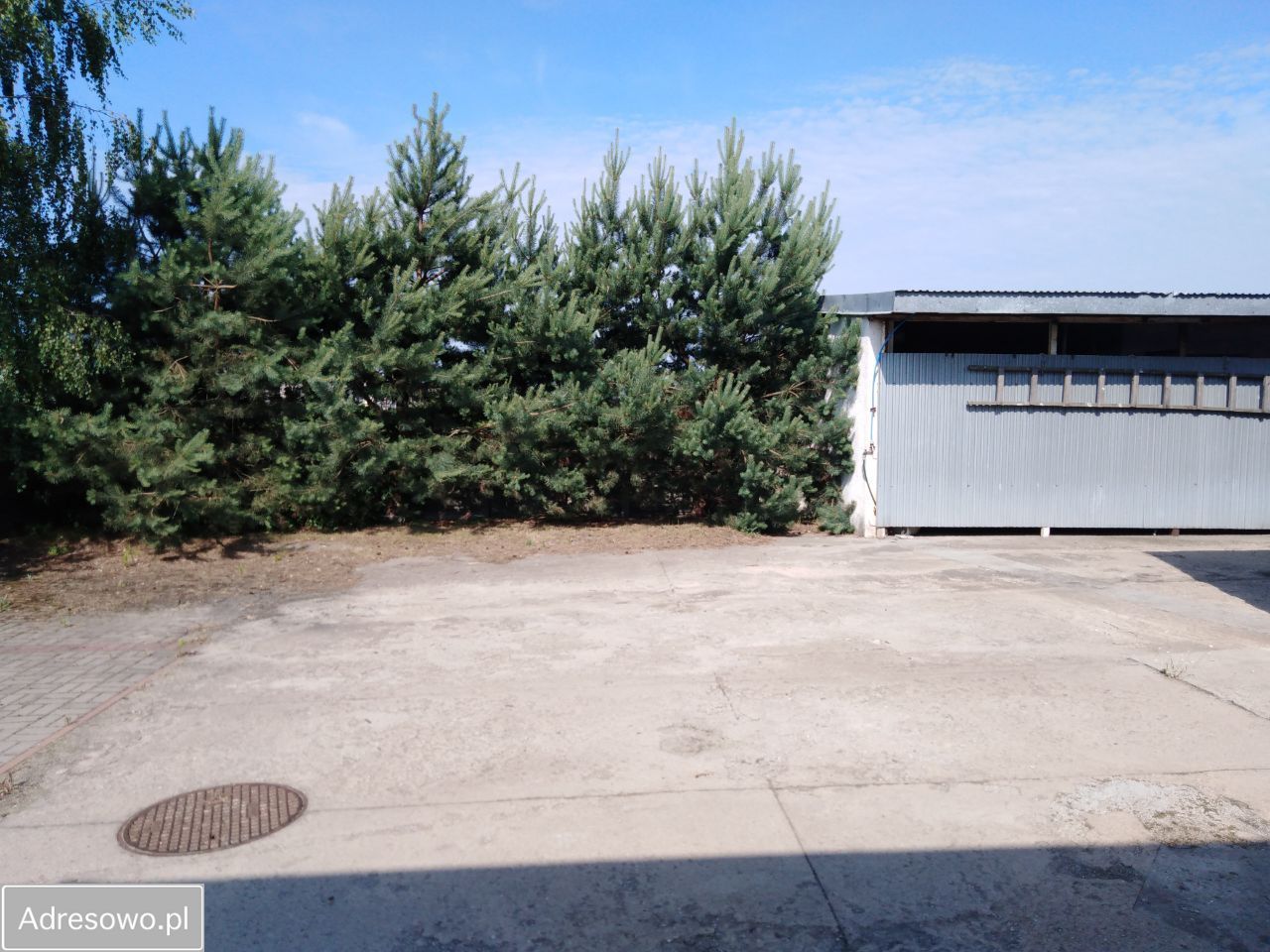 Hala/magazyn Koło, ul. Boguszyniecka. Zdjęcie 14
