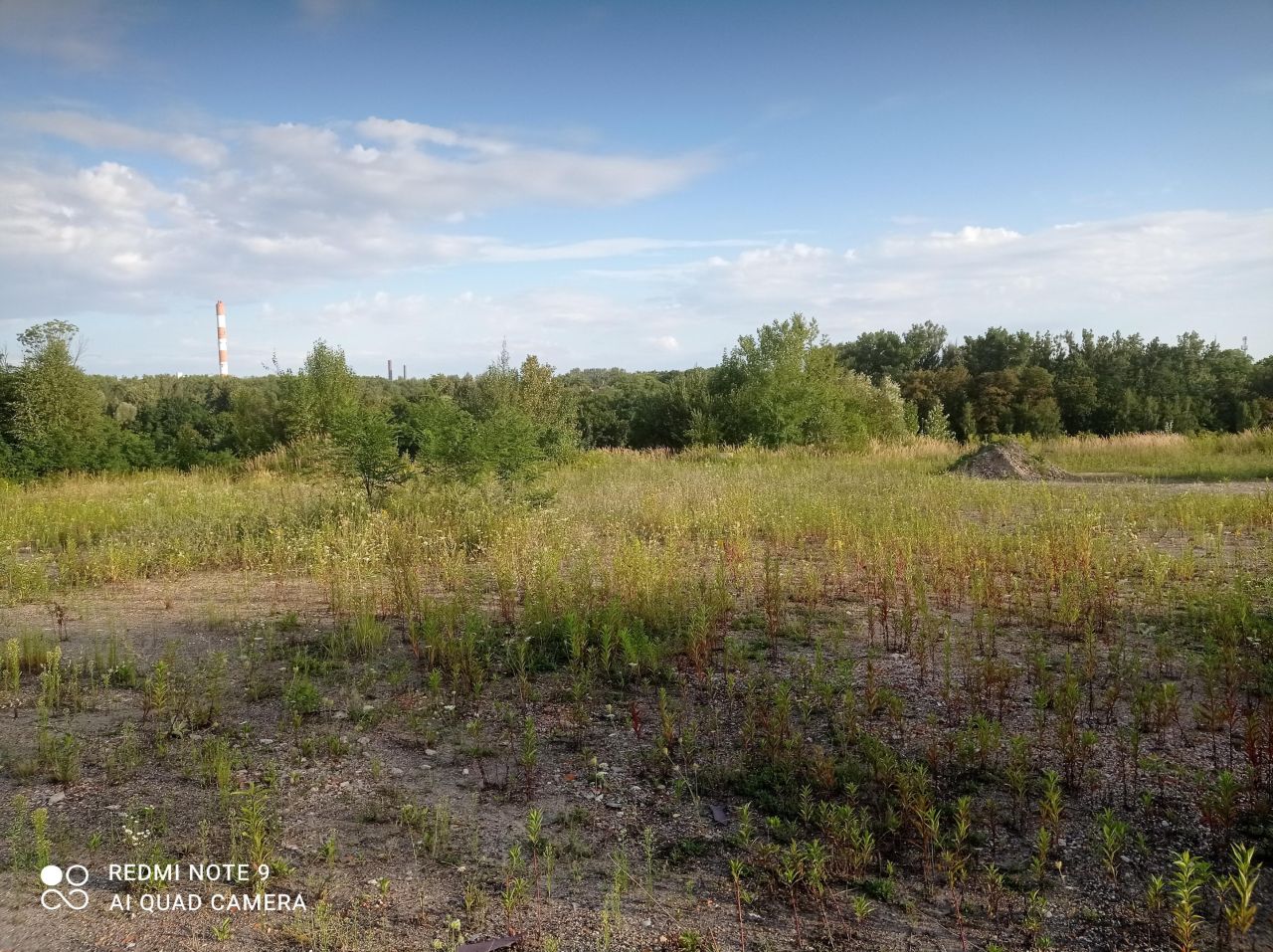 Działka budowlana Zabrze Centrum, ul. dr. Bronisława Hagera. Zdjęcie 8