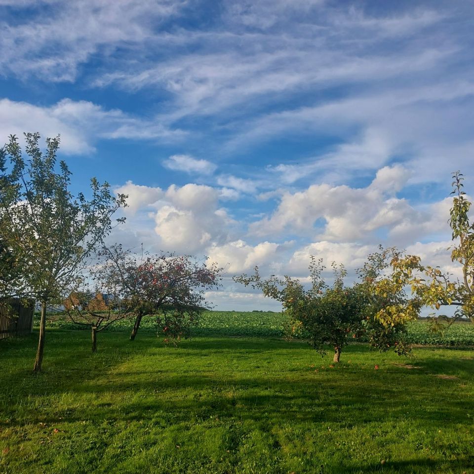 dom wolnostojący, 3 pokoje Siedliska. Zdjęcie 6