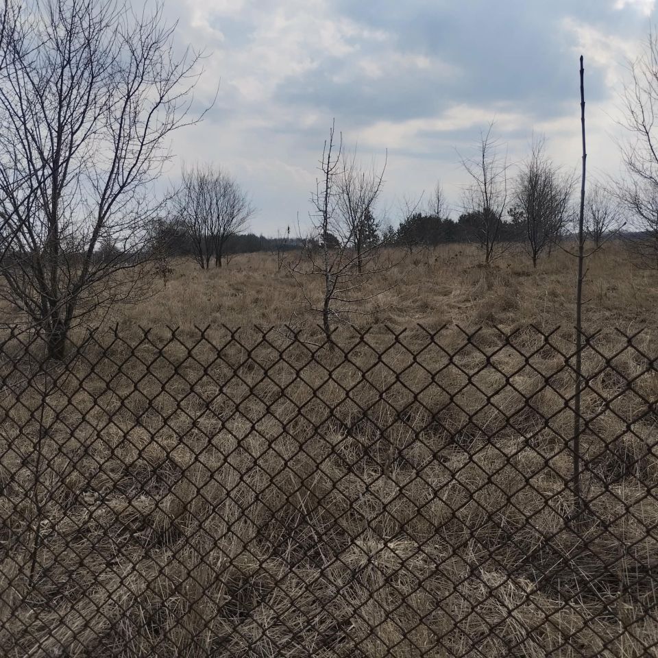siedlisko, 3 pokoje Stara Sławogóra, Stara Sławogóra. Zdjęcie 6