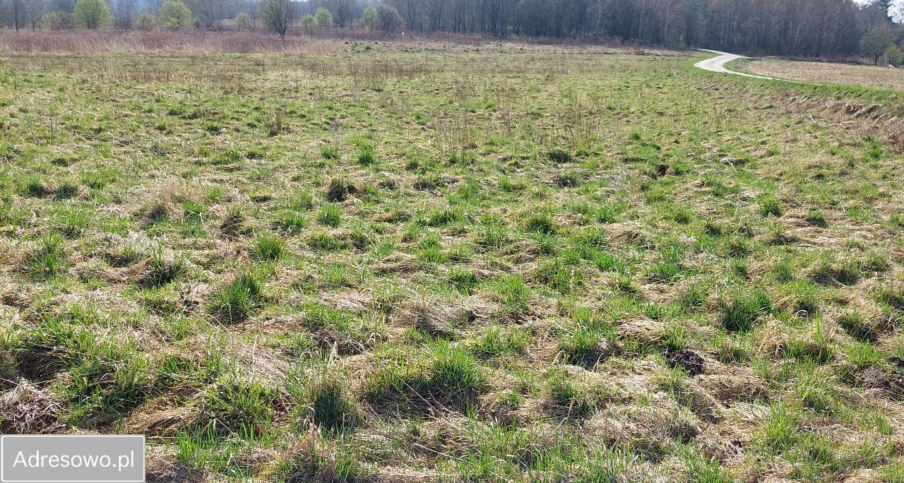 Działka rolna Stryszów. Zdjęcie 5