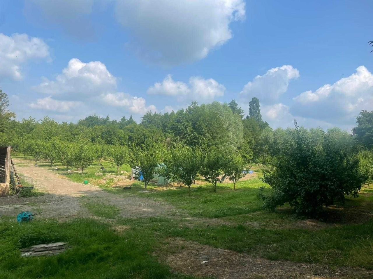 gospodarstwo Radłów. Zdjęcie 6